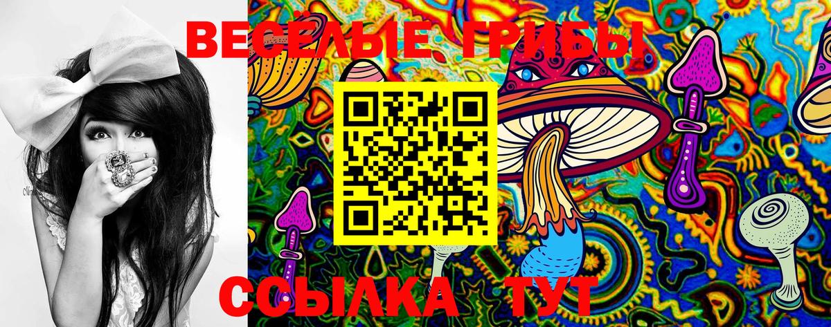 Галлюциногенные грибы GOLDEN TEACHER  Вход с VPN  Нижневартовск 
